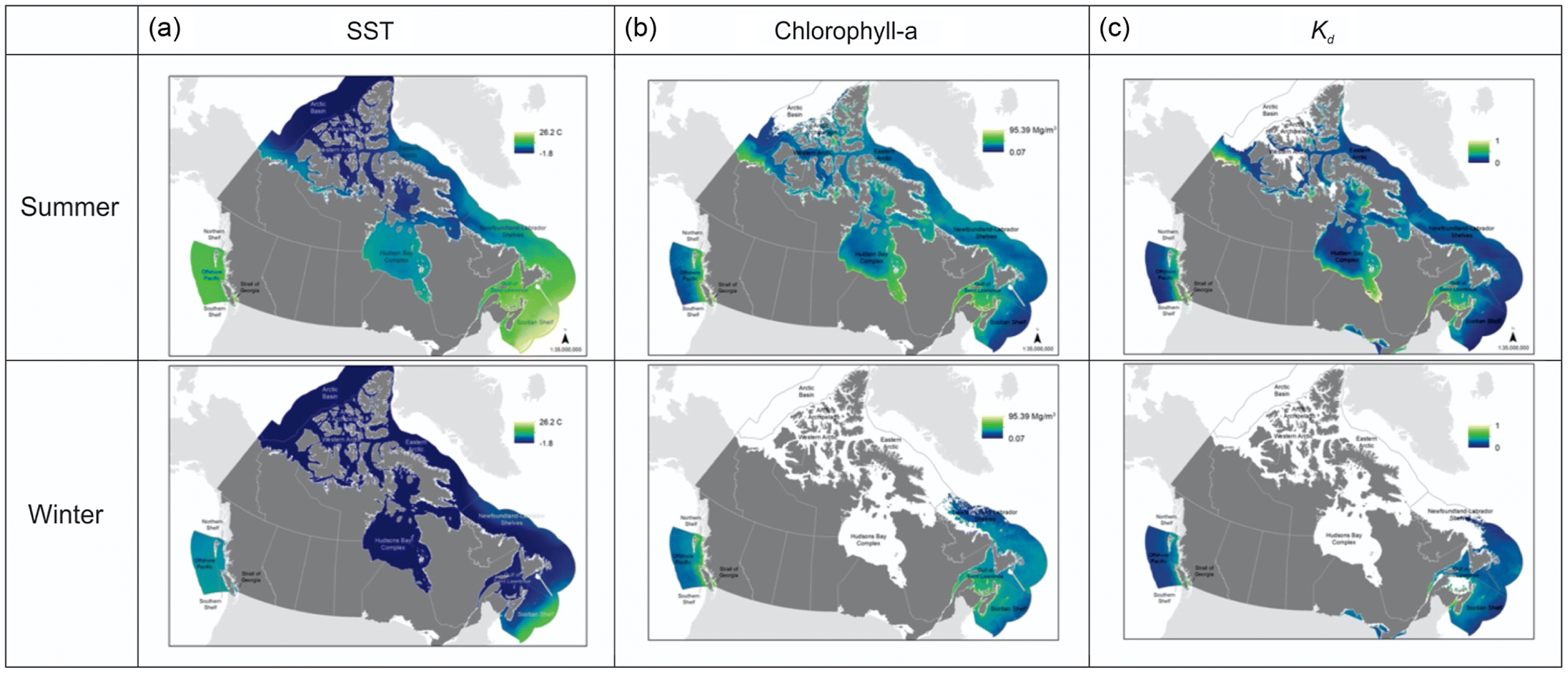 Rise of Ruppia in Chesapeake Bay: Climate change–driven turnover of  foundation species creates new threats and management opportunities