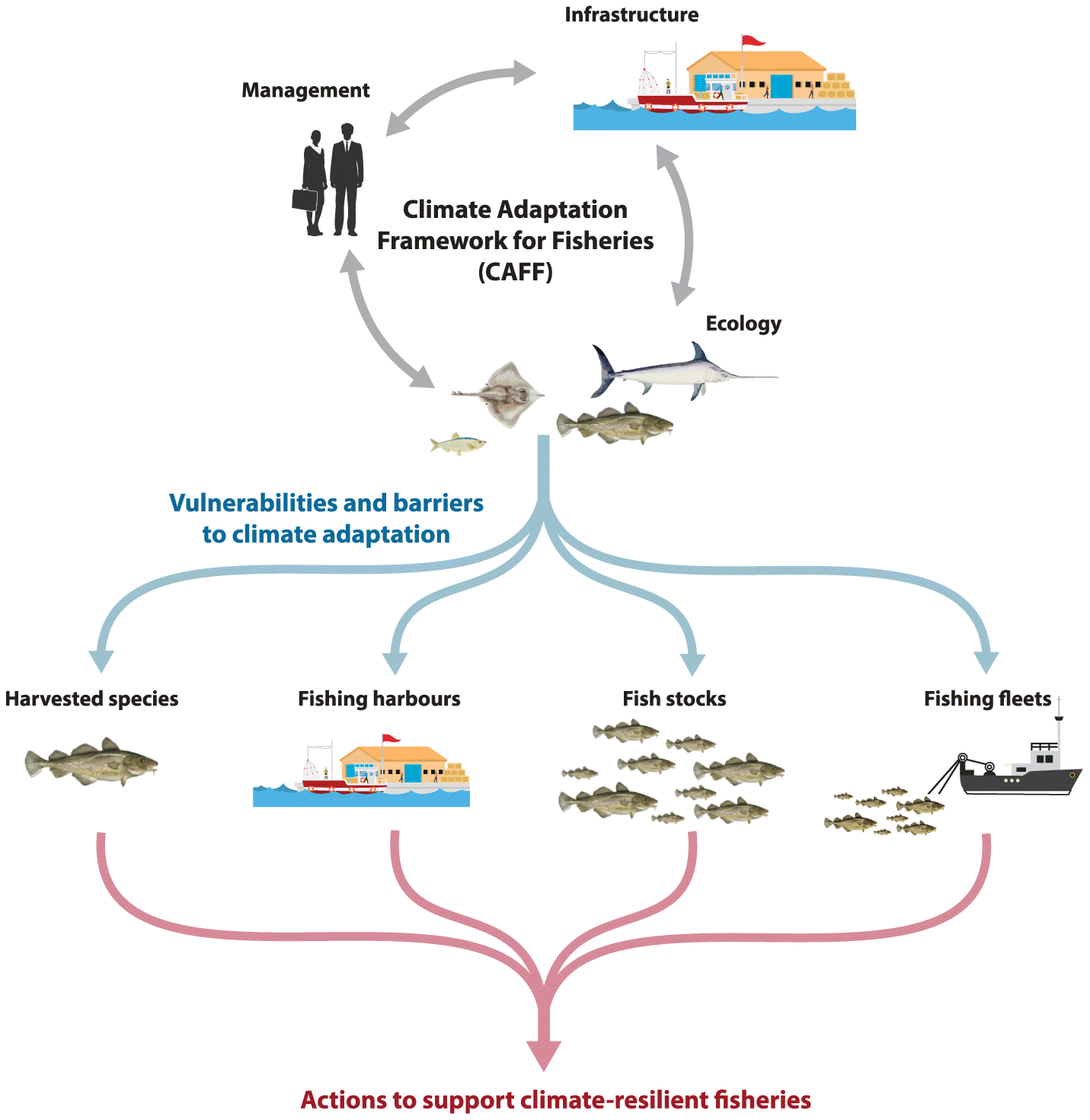 A prospective framework to support climate-adaptive fisheries in Canada